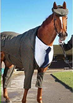 上海金慈實(shí)業(yè)有限公司，丙綸高強(qiáng)絲，丙綸色絲，丙綸中空絲，丙綸異形絲，丙綸夜光紗，高強(qiáng)丙綸絲，丙綸工業(yè)絲，丙綸熒光絲